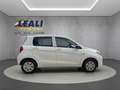 Suzuki Celerio Celerio 5p 1.0 68cv  Easy Bianco - thumbnail 7