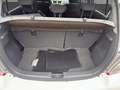 Suzuki Celerio Celerio 5p 1.0 68cv  Easy Bianco - thumbnail 13