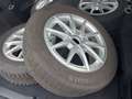Mercedes-Benz B 200 d 8G-DCT "Progressive" Multibeam Scheinw. Weiß - thumbnail 16