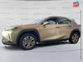Lexus UX 300e UX 300e Pack Grau - thumbnail 9
