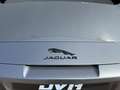 Jaguar F-Type P300 RWD R-Dynamic Black Edition Grijs - thumbnail 9