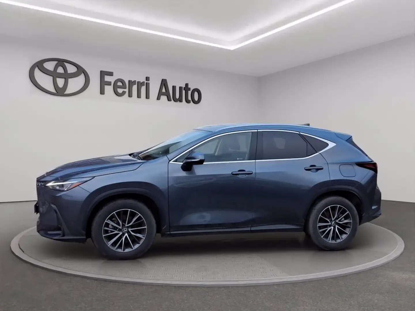 Lexus NX 350h 2.5 premium 2wd 244cv e-cvt Gris - 2