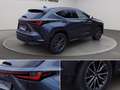 Lexus NX 350h 2.5 premium 2wd 244cv e-cvt Gris - thumbnail 12