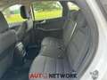 Ford Kuga 2.5 Plug In Hybrid 225 CV CVT 2WD Titanium phev Bianco - thumbnail 10