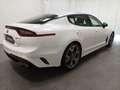 Kia Stinger 3.3 V6 T-GDI GT|4WD|Navi|HUD|SHD|CAM Weiß - thumbnail 5