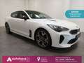 Kia Stinger 3.3 V6 T-GDI GT|4WD|Navi|HUD|SHD|CAM Weiß - thumbnail 1