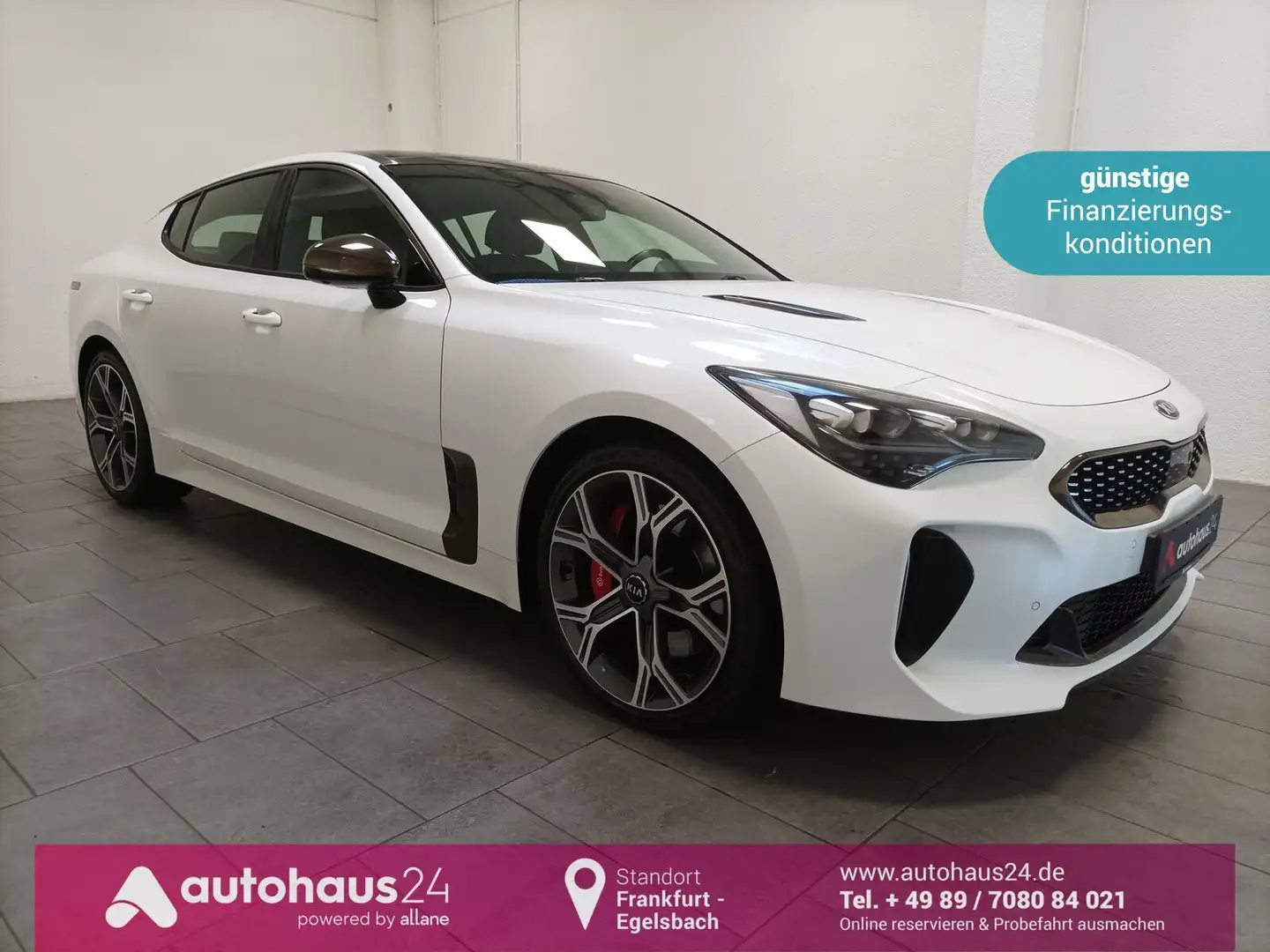 Kia Stinger 3.3 V6 T-GDI GT|4WD|Navi|HUD|SHD|CAM Weiß - 1