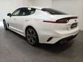 Kia Stinger 3.3 V6 T-GDI GT|4WD|Navi|HUD|SHD|CAM Weiß - thumbnail 4