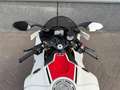 Yamaha R1 60th Anniversary - thumbnail 10