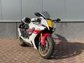 Yamaha R1 60th Anniversary - thumbnail 2