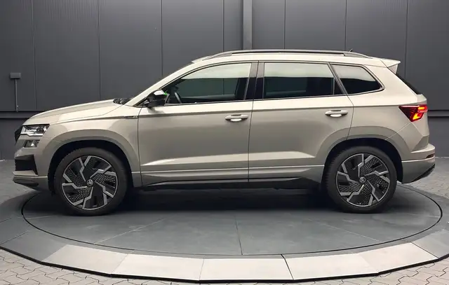 Skoda Karoq view 2