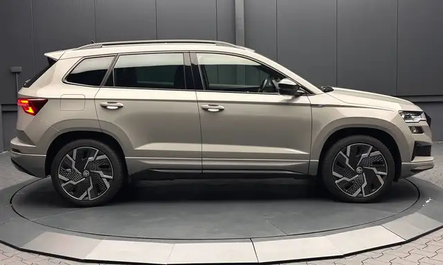 Skoda Karoq view 6