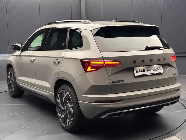 Skoda Karoq view 3