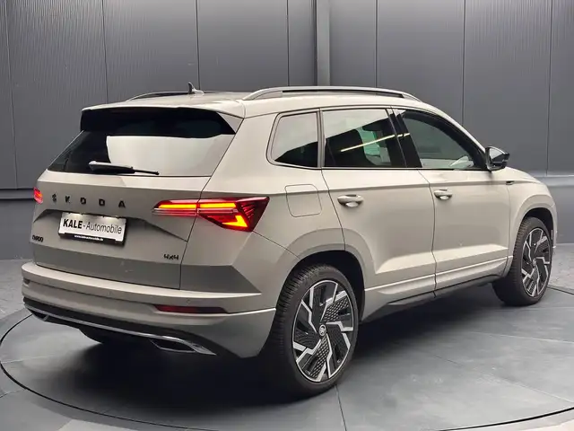Skoda Karoq view 5