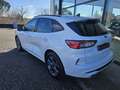 Ford Kuga Kuga III 2020 1.5 ecoblue ST-Line 2wd 120cv Blanc - thumbnail 5