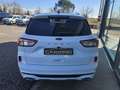 Ford Kuga Kuga III 2020 1.5 ecoblue ST-Line 2wd 120cv Blanc - thumbnail 4
