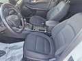 Ford Kuga Kuga III 2020 1.5 ecoblue ST-Line 2wd 120cv Blanc - thumbnail 8