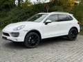 Porsche Cayenne Diesel Cayenne 3.0 V6 Panoram Luftfahrwerk Blanc - thumbnail 2