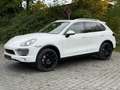 Porsche Cayenne Diesel Cayenne 3.0 V6 Panoram Luftfahrwerk Blanc - thumbnail 19