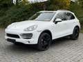 Porsche Cayenne Diesel Cayenne 3.0 V6 Panoram Luftfahrwerk Blanc - thumbnail 9