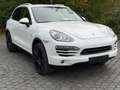 Porsche Cayenne Diesel Cayenne 3.0 V6 Panoram Luftfahrwerk Blanc - thumbnail 17