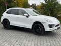Porsche Cayenne Diesel Cayenne 3.0 V6 Panoram Luftfahrwerk Blanc - thumbnail 18