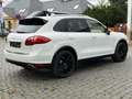 Porsche Cayenne Diesel Cayenne 3.0 V6 Panoram Luftfahrwerk Blanc - thumbnail 20