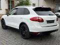 Porsche Cayenne Diesel Cayenne 3.0 V6 Panoram Luftfahrwerk Blanc - thumbnail 3