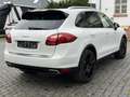 Porsche Cayenne Diesel Cayenne 3.0 V6 Panoram Luftfahrwerk Blanc - thumbnail 5