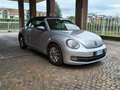 Volkswagen New Beetle 1.6 tdi 105 cv Argento - thumbnail 6