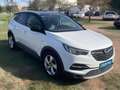 Opel Grandland X 1.2 Turbo Design Line Blanco - thumbnail 3