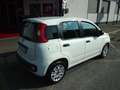 Fiat Panda 1.2 EURO6B 4 POSTI N1 Pochissimi Km Bianco - thumbnail 3
