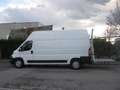 Citroen Jumper 35 Heavy L3H3 BlueHDi 130Cv Sponda Idraulica Haccp Bianco - thumbnail 15