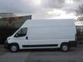 Citroen Jumper 35 Heavy L3H3 BlueHDi 130Cv Sponda Idraulica Haccp Bianco - thumbnail 5