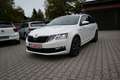 Skoda Octavia Combi Soleil/ Full LED/ 19 Zoll Alu Weiß - thumbnail 7