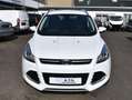 Ford Kuga Titanium *TEILLEDER*PDC*SITZHZ*AHK*WENIG GELAUFEN! Weiß - thumbnail 8