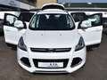 Ford Kuga Titanium *TEILLEDER*PDC*SITZHZ*AHK*WENIG GELAUFEN! Weiß - thumbnail 22