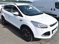Ford Kuga Titanium *TEILLEDER*PDC*SITZHZ*AHK*WENIG GELAUFEN! Weiß - thumbnail 2
