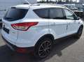 Ford Kuga Titanium *TEILLEDER*PDC*SITZHZ*AHK*WENIG GELAUFEN! Weiß - thumbnail 4