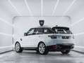 Land Rover Range Rover Sport 3.0D I6 MHEV HSE Dynamic Aut. 249 - thumbnail 3