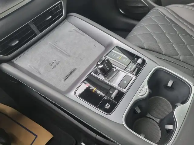 BYD Sealion 7 Excellence AWD Ansicht 10