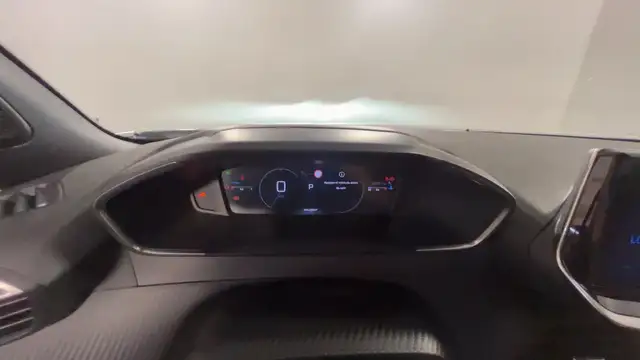 Peugeot 2008 view 11