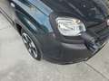 Fiat Panda Pandina Cross Pandina Cross 1.0 firefly hybrid s Vert - thumbnail 6
