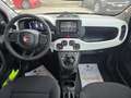 Fiat Panda Pandina Cross Pandina Cross 1.0 firefly hybrid s Vert - thumbnail 9