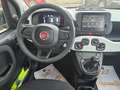 Fiat Panda Pandina Cross Pandina Cross 1.0 firefly hybrid s Vert - thumbnail 14