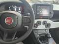 Fiat Panda Pandina Cross Pandina Cross 1.0 firefly hybrid s Vert - thumbnail 17