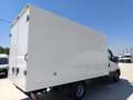 Iveco Daily Chasis Cabina 35C14 3750 136 Blanc - thumbnail 6