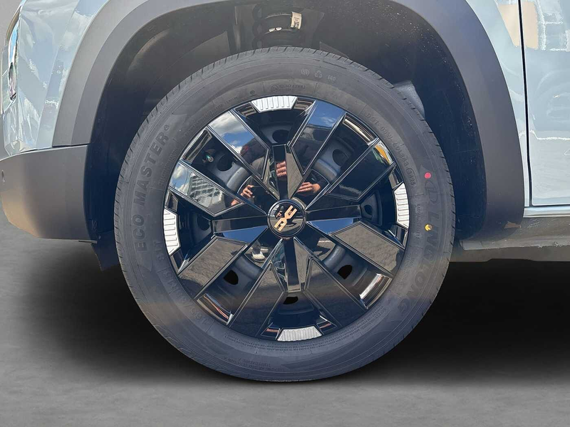 Dacia Spring Extreme 100 EPH vo+hi+Kamera  CCS Schuko Navi — photo 14