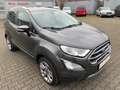 Ford EcoSport Titanium T-Leder-Navi-DAB-Bang&Olefsen-AHK-54 Tkm Grau - thumbnail 3