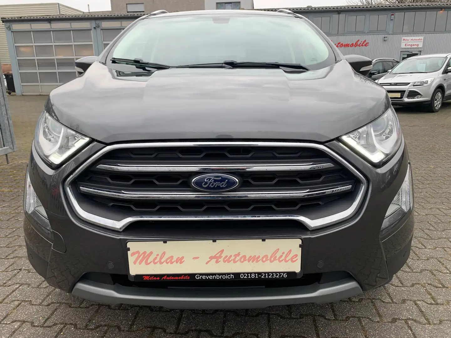 Ford EcoSport Titanium T-Leder-Navi-DAB-Bang&Olefsen-AHK-54 Tkm Grau - 2